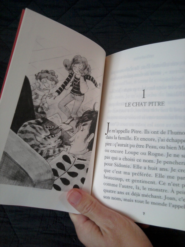 un chat dans ma boîte aux lettres !