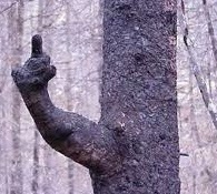 « Le problème du premier degré, c’est qu’il brûle quand même un peu. »