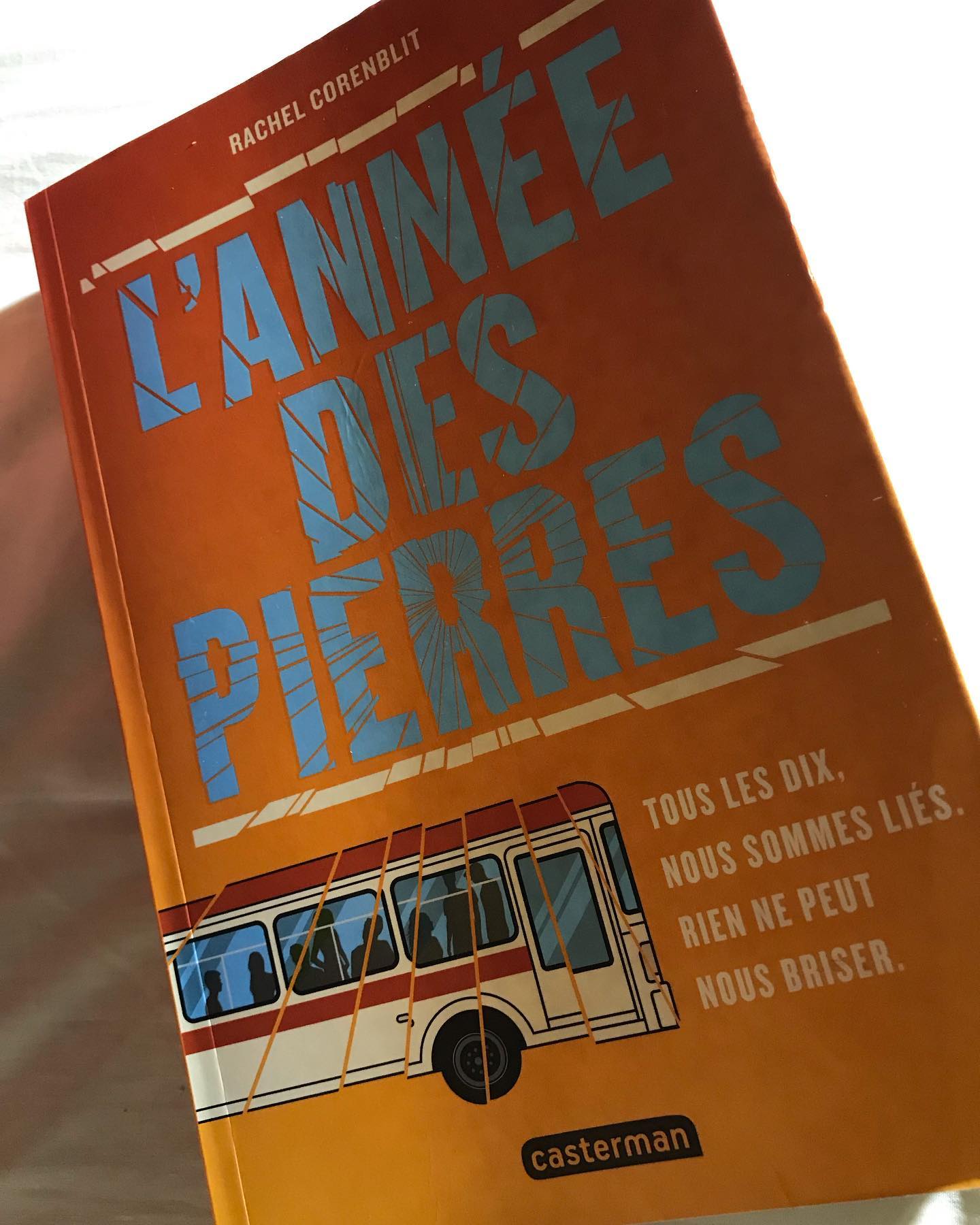 Lecture #120 : L’année des pierres