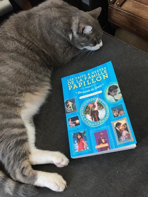 Secret photo 1 des *Succès de Domi* (vient de paraître : vite, vite courez en librairie !)