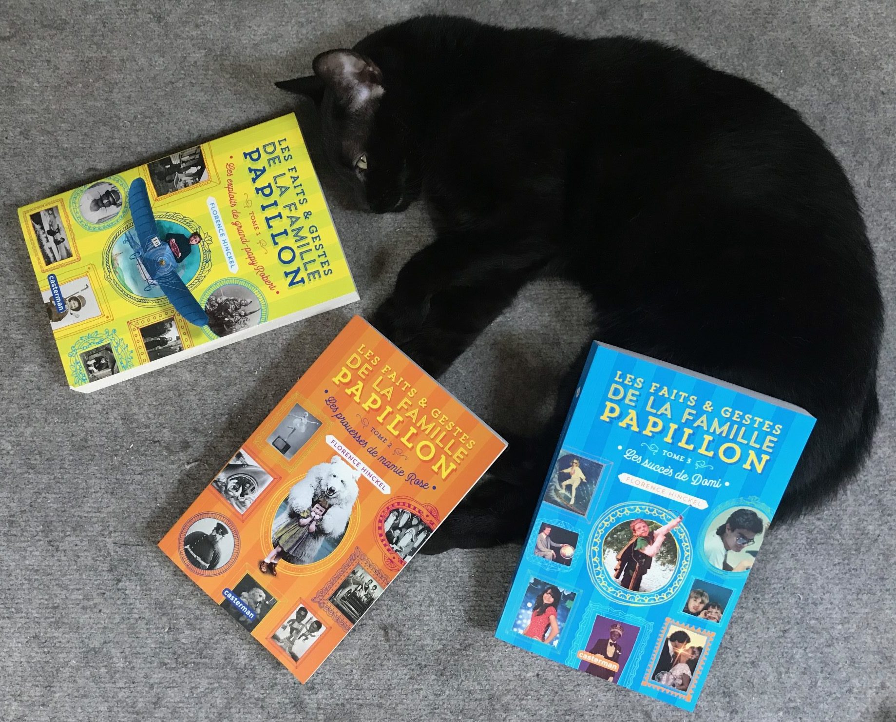 La saga des Papillon en chiffres