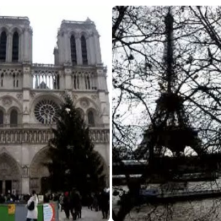 la fille qui dort théatralisée et dansée