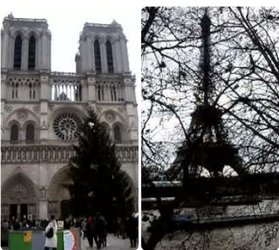 Montreuil 2010 par la tranche