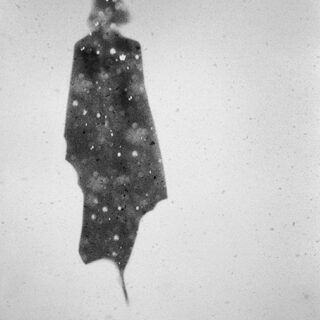 Signes : décembre 2009