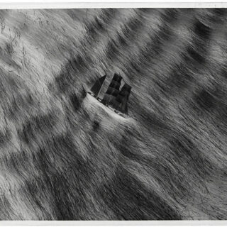 Signes : juillet 2009