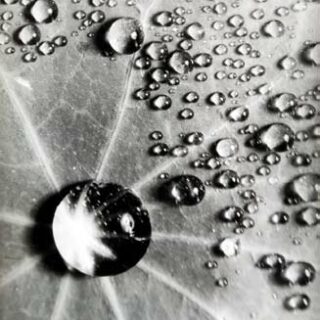 Signes – avril 2010