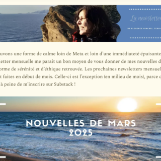 *Comme un homme* au Sénégal