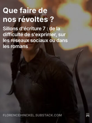Newsletter 7 : que faire de nos révoltes ?