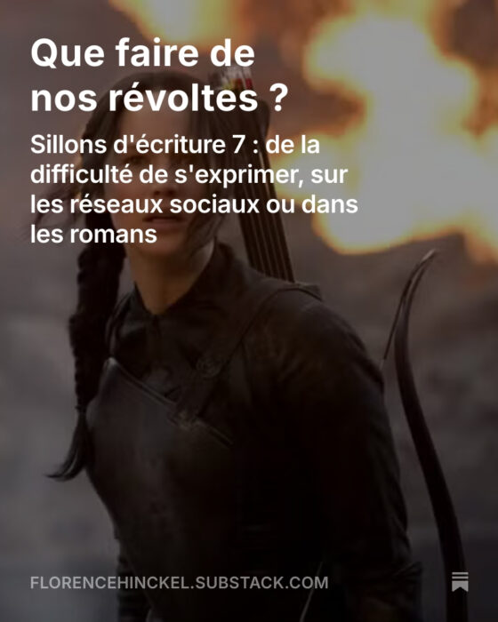 Newsletter 7 : que faire de nos révoltes ?