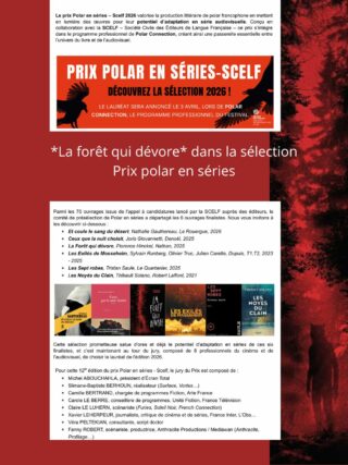 Sélection Polar en séries