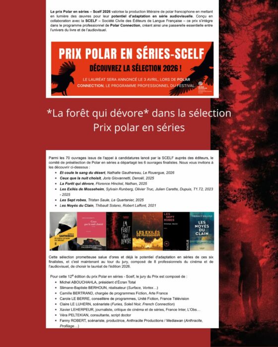 Sélection Polar en séries